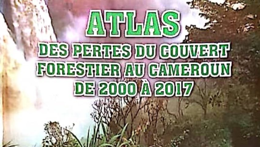 ATLAS DES PERTES DU COUVERT FORESTIER