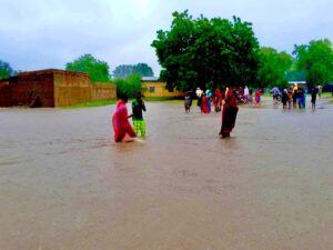 La Région de l'Extrême-Nord du Cameroun est en proie à des événements climatiques extrêmes, oscillant entre des périodes de chaleur intense et des inondations dévastatrices. 